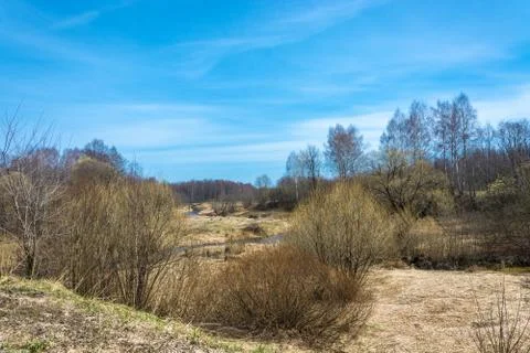 Early spring in Central Russia. Stock Photos