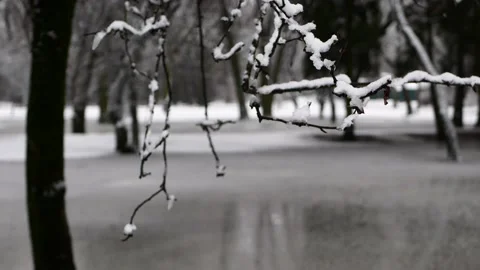 Early spring in the city park. Snow and rain, March wet weather. Stock-Footage 151041982