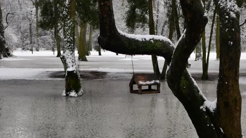 Early spring in the city park. Snow and rain, March wet weather. Video stock 153517372