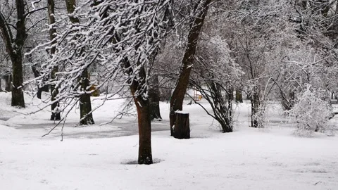 Early spring in the city park. Snow and rain, March wet weather. Stock Footage 153517835