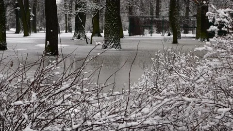 Early spring in the city park. Snow and rain, March wet weather. Video stock 153517849