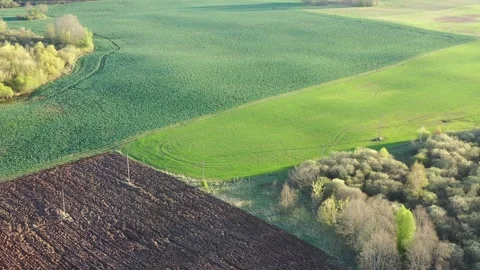 Early spring crop fields in morning, aerial Stock Footage 293081035