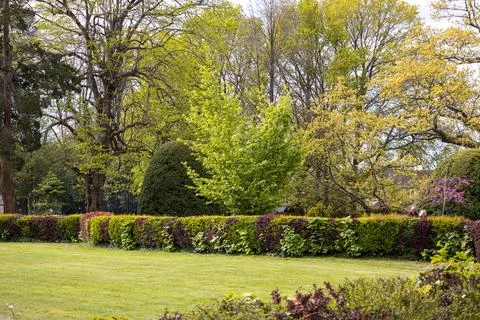 Early Spring Day AT Worth Park Crawley West Sussex UK Stock Photos