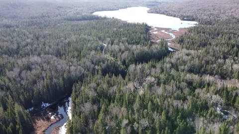 Early Spring, Dense Forest, Rivers, and Lake Stock Footage 157934613