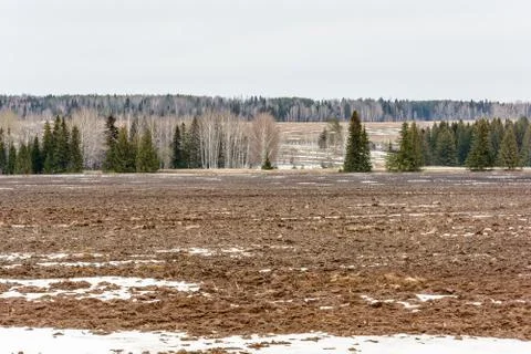 Early spring in the fields Stock Photos