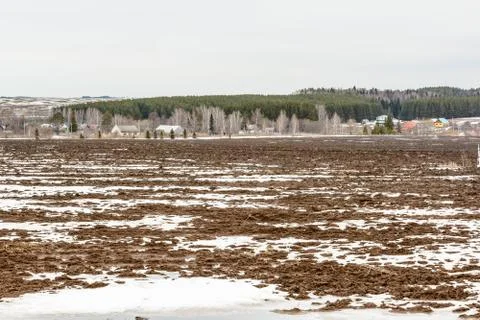 Early spring in the fields Stock Photos