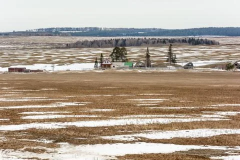 Early spring in the fields Stock Photos