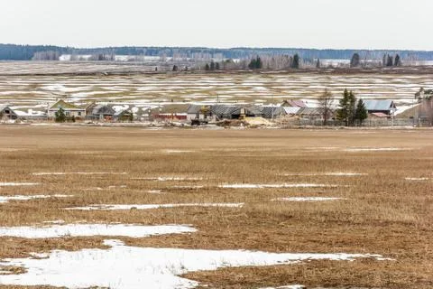 Early spring in the fields Stock Photos