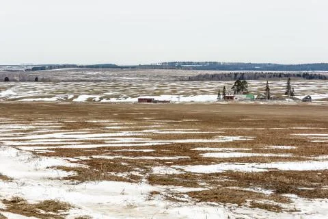 Early spring in the fields Stock Photos