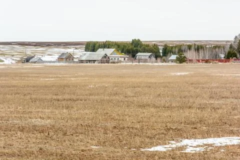 Early spring in the fields Stock Photos