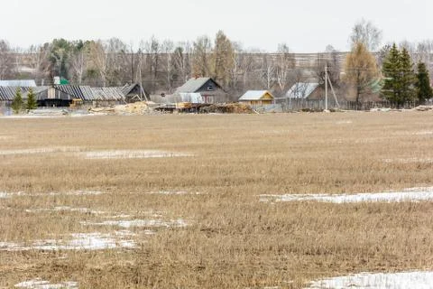 Early spring in the fields Stock Photos