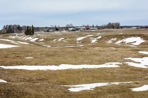 Early spring in the fields Stock Photos