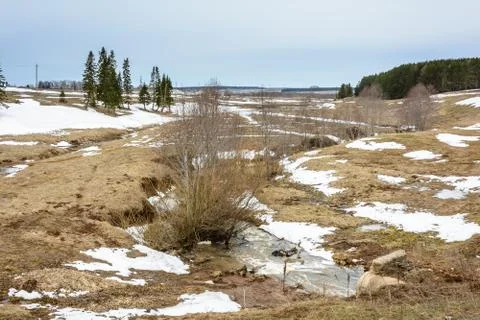 Early spring in the fields Stock Photos