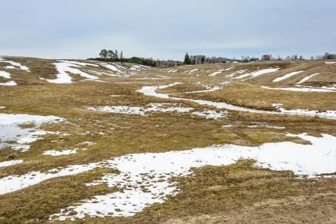 Early spring in the fields Stock Photos