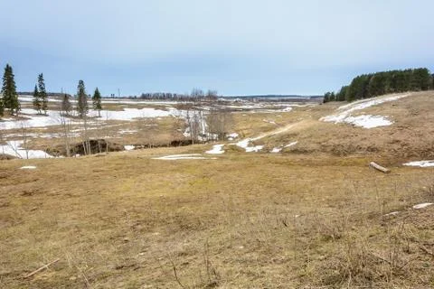 Early spring in the fields Foto stock