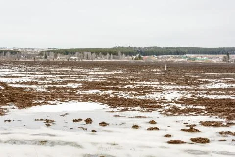 Early spring in the fields Foto stock