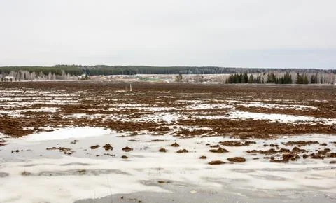 Early spring in the fields Stock Photos