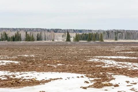 Early spring in the fields Stock Photos