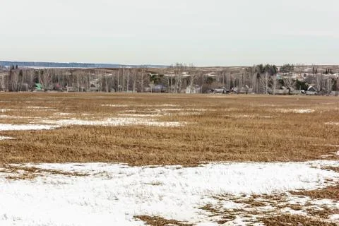 Early spring in the fields Stock Photos