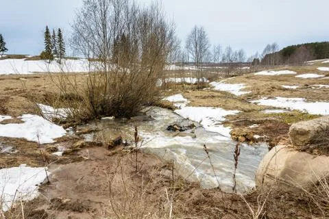 Early spring in the fields Stock Photos