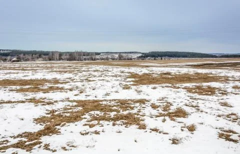 Early spring in the fields Foto stock