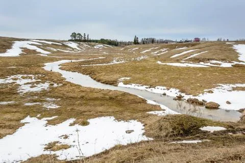 Early spring in the fields Stock Photos