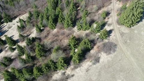 Early spring flight above forested hills, revealing panorama of High Tatra Stock Footage 137387739