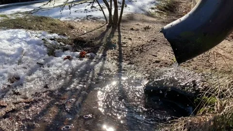 Early spring Stock Footage 149883131