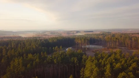 Early spring forest after thaw filmed from drone. 4k Aerial landscape. Vídeo Stock 103274671