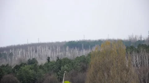 Early spring forest and the old fountain Stock Footage 62481528