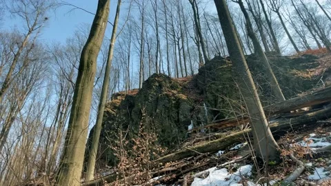 Early spring forest. Cliffs Stockbeeldmateriaal 151649530