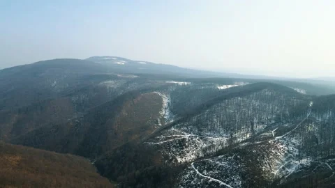 Early spring forest. Drone Aerial Stock Footage 151647711