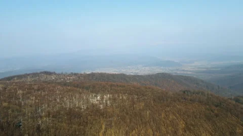 Early spring forest. Drone Aerial Stock Footage 151647742