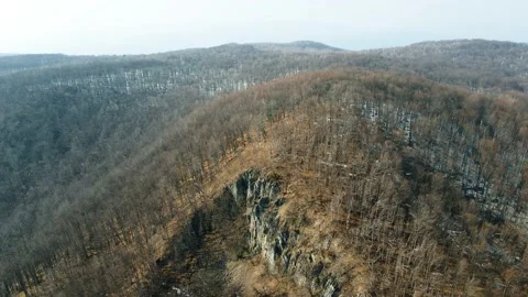 Early spring forest. Drone Aerial Stock Footage 151647793