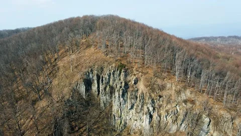 Early spring forest. Drone Aerial Stockbeeldmateriaal 151647798