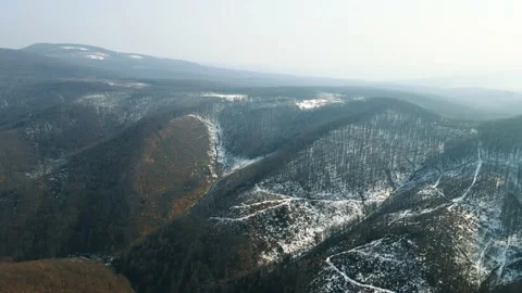 Early spring forest. Drone Aerial Stockbeeldmateriaal 151647860