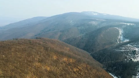 Early spring forest. Drone Aerial Stock Footage 151647872
