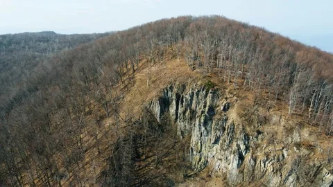 Early spring forest. Drone Aerial Stock Footage 151647907