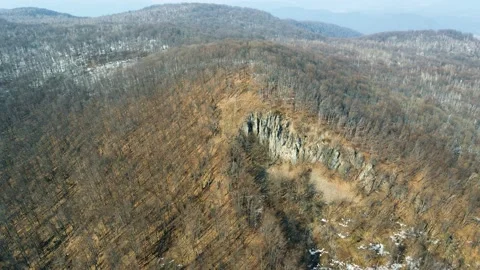 Early spring forest. Drone Aerial Stock Footage 151647959