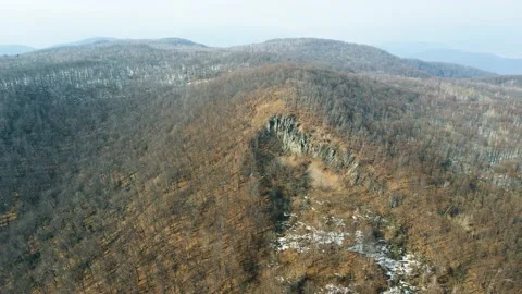 Early spring forest. Drone Aerial Stock Footage 151647973