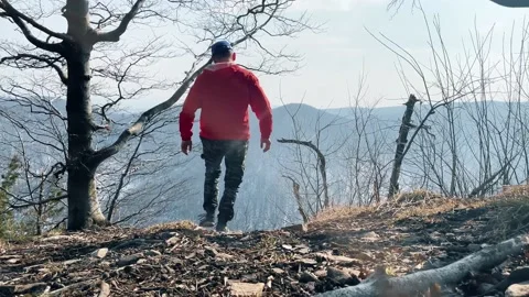 Early spring forest. Hiking to the mount. Stockbeeldmateriaal 151649542