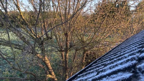 Early spring frost on rooftop with bare trees at sunrise Stock Footage 306300432