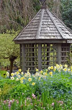 Early spring garden Stock Photos