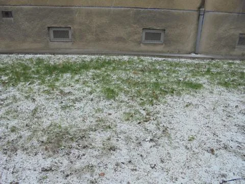 Early spring grass covered in late snow powder in front of old building Stock Photos