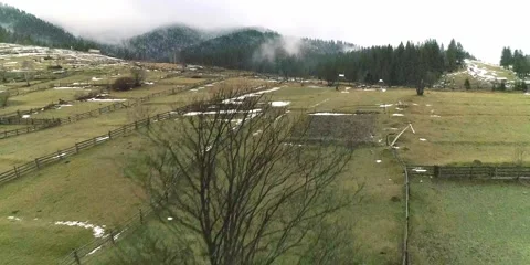  Early spring green village fields with wood fences Stock Footage 280162847
