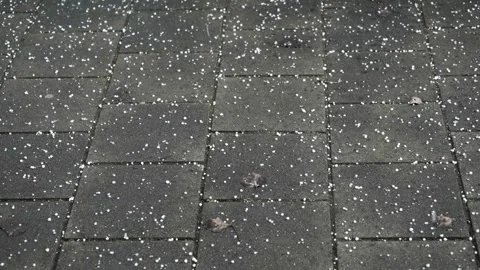 Early Spring Hailstorm in Slow Motion, Hailstones Hitting Ground Vídeos de archivo 331722655