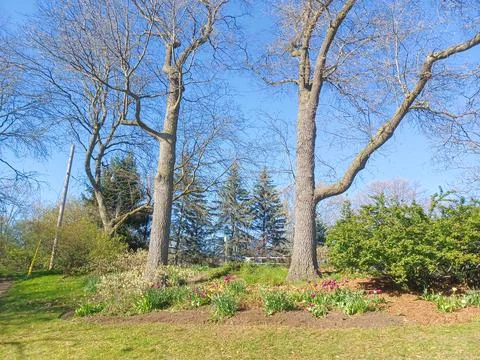 Early Spring High Park Stock Photos