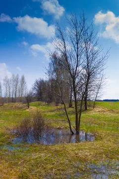 Early spring, high water. The trees are in the water. Landscape against the b Stock Photos