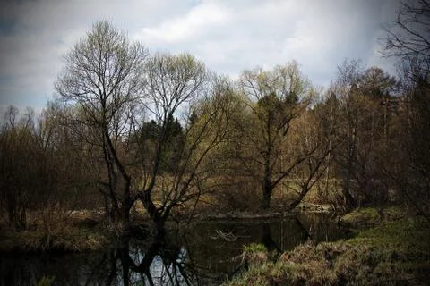 Early spring landscape Stock Photos
