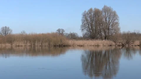 Early spring landscape - small forest river, bright sunny day Stock-Footage 128277373